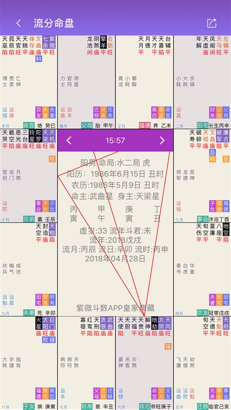 紫微斗数生辰八字下载2019安卓最新版_手机app官方版免费安装下载_豌豆荚
