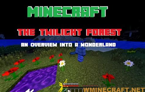 Image result for Twilight Mod Minecraft
