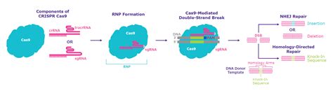 Image result for Entity Component Design Pattern