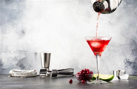 What Cocktails Can You Make with Vodka: 8 Delicious Recipes You Can ...