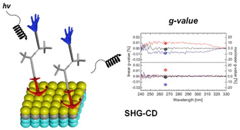 Chiroptical Sensing: A Conceptual Introduction