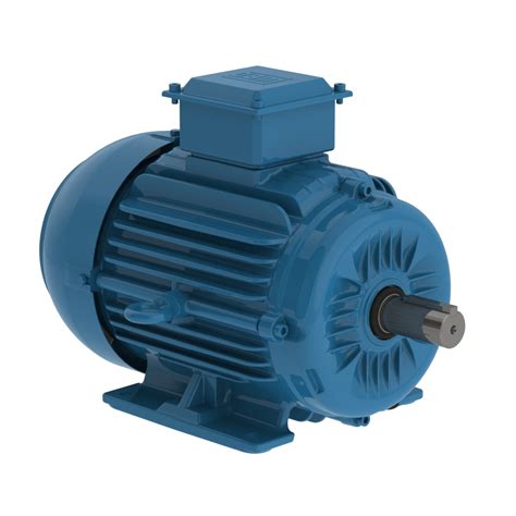 BIBUS INDIA I LV motors IE2 - Low voltage motors - Electric motors