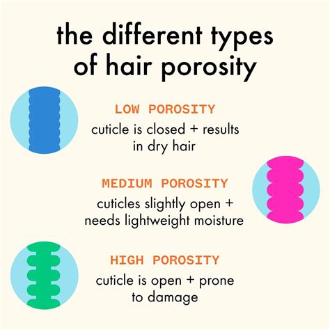 hair porosity 101 | amika