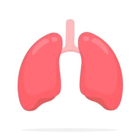 ग्रैन्युलोमस (Granulomas) के बारे में पाएं पूरी जानकारी विस्तार से ...