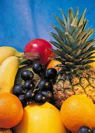 Milk substitutes that are safe for lactose intolerant people, according ...