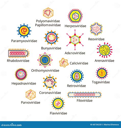 Classification of viruses. stock vector. Illustration of double - 68736220