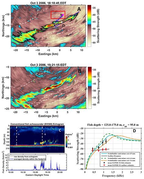 Optimal Automatic Wide-Area Discrimination of Fish Shoals from Seafloor ...