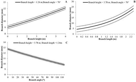 Branch Development of Five-Year-Old Betula alnoides Plantations in ...