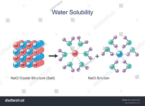 Water Solubility Sodium Chloride Nacl Salt Stock Vector (Royalty Free ...