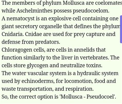 mention the phylum in which we can observe the following ...
