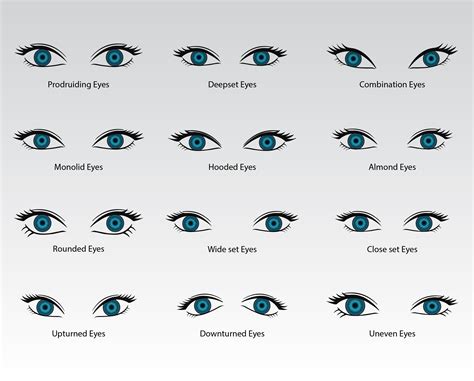 Name The Different Types Of Eye Shapes - Free Math Worksheet Printable