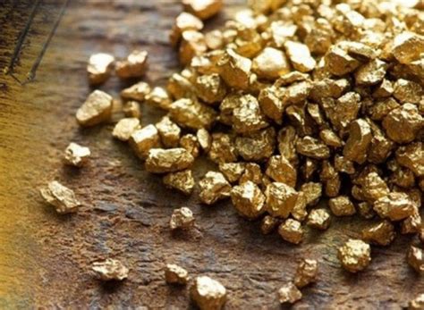 Cuarta mina de oro más grande del mundo es certificada en Venezuela | PSUV