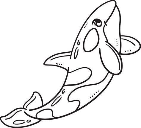 Killer Whale Coloring Pages To Print