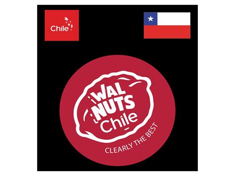 Chilean Walnuts Strengthen Presence in India with New Season Launch