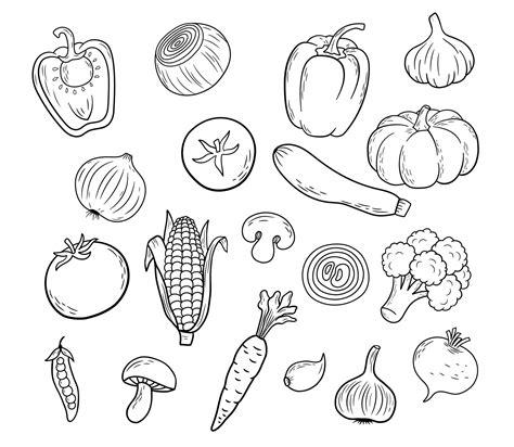 Drawing Of Vegetables