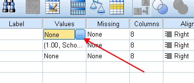 Image result for Coding of Variables in Variable View in SPSS