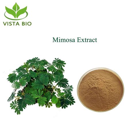 High Quality Pure Natural Mimosa Hostilis Root Bark Mimosa Pudica ...
