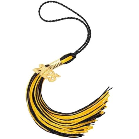 Cytokio 2025 Graduation Tassel 2025 Tassel Charm, Graduation India | Ubuy