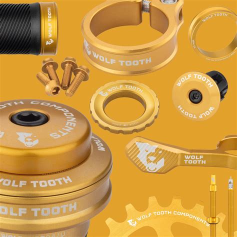 Install a Wolf Tooth Gnar Chain Guide 的图像结果
