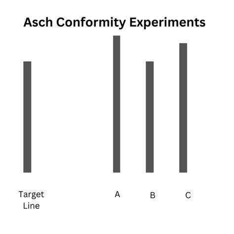 Conformity Experiment 的图像结果