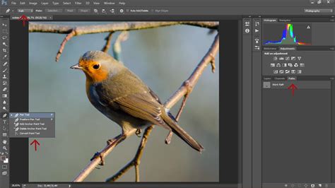 Selections with the Pen Tool in Photoshop CC