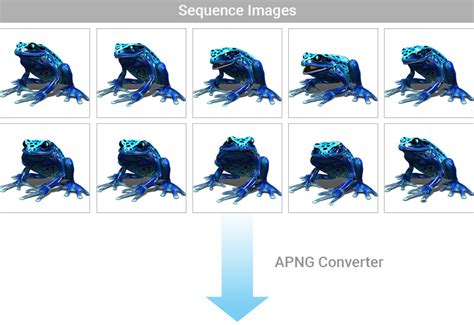 Image Animation Example 的图像结果