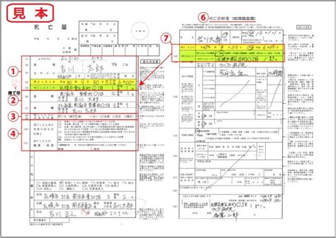 Operator Overloading Examples 的图像结果