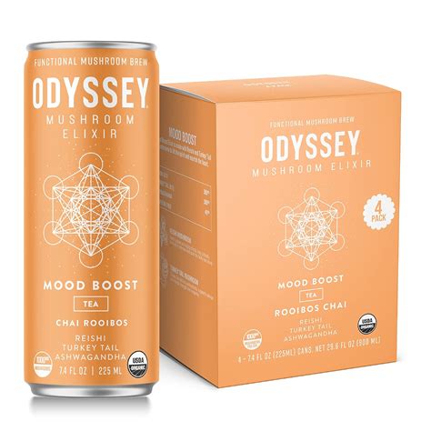 Buy ODYSSEY ELIXIR Mood Boost Mushroom Drink 7.4 Fl oz, Chai Rooibos ...