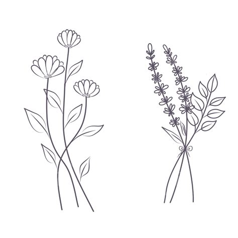 Line Drawing Flower Simple