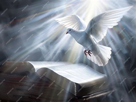 Flying dove above an opened book The Holy spirit appears over the Bible ...