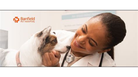 FREE Pet Exam and Consultation at Banfield :: Southern Savers