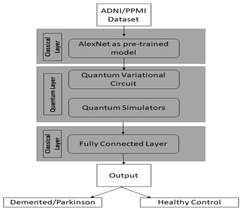 Implementing Magnetic Resonance Imaging Brain Disorder Classification ...