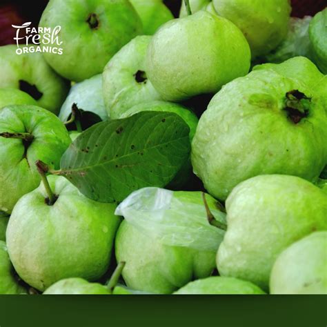 Farm Fresh Organics 的图像结果