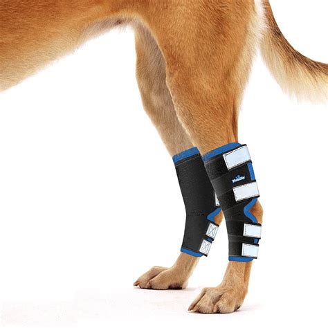 Buy NeoAlly Dog Rear Leg Braces [Long Version] Canine Hind Leg Sleeves ...