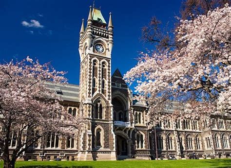 国内大学生如何去新西兰读研？ - 知乎