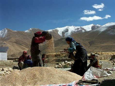 Local Mountain People India 的图像结果