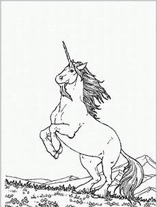 malvorlagen einhorn pegasus ausmalbilder zum ausdrucken gratis malvorlagen einhorn und malvorlagen einhorn pegasus ausmalbilder zum ausdrucken gratis malvorlagen einhorn und