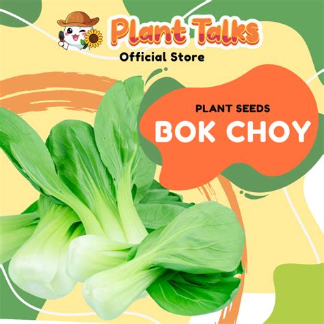 Plant Talks Xiao Bai Cai Seed Green Pak Choi Bok Choy Seed Vegetable Seed | Shopee Singapore