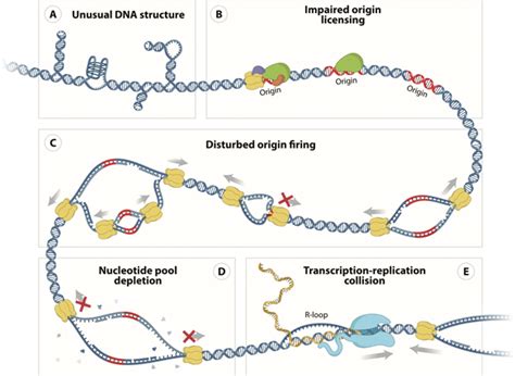 BRIC-NIBMG | BRIC National Institute of Biomedical Genomics