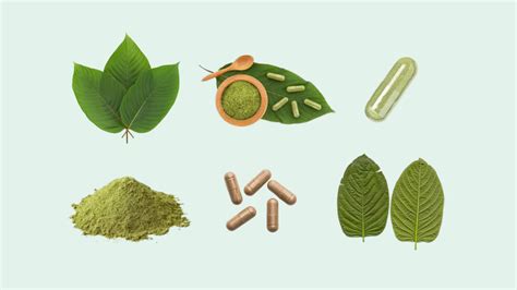 Kratom Signs of Addiction | Mountainside Treatment Center