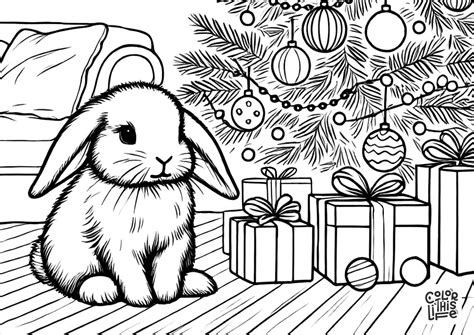 Bunny Coloring Page Christmas