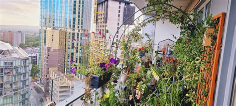 The Gardener Who Turned An 18th-Floor Balcony Into A Thriving Mini Oasis