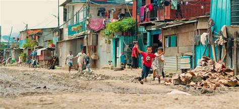 Image result for Colonisation Media Sampling Method