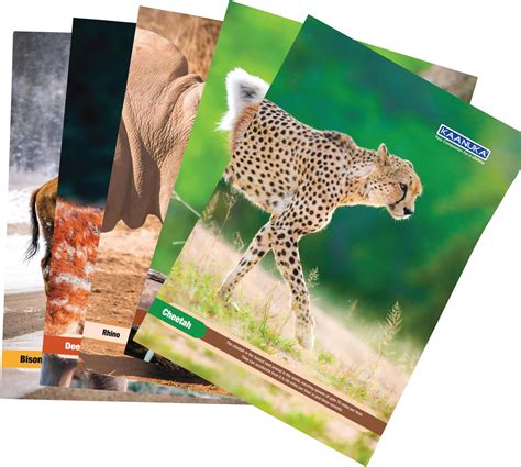 Classmate Long Book - Unruled, 140 Pages, 297 mm x 210 mm - Pack Of 3 ...