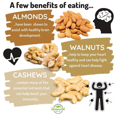Almonds, walnuts and cashews | Healthy food facts, Food nutrition facts, Health benefits of walnuts