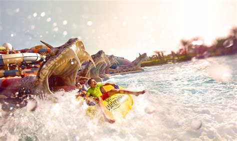 Flights from Bangalore (BLR) to Abu Dhabi (AUH) | Etihad Airways