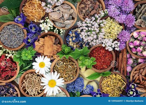 Herb Medicine 的图像结果