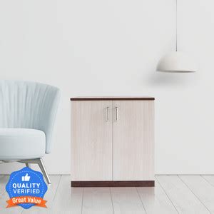 Fresh Up Engineered Wood Shoe Rack/Shoe Cabinet With Door - 3 Shelves ...