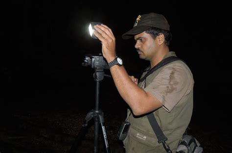 The Taxa Files | Nature inFocus