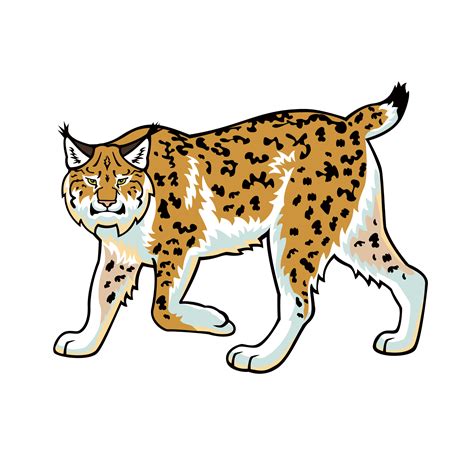 Bobcat Tractor Clip Art